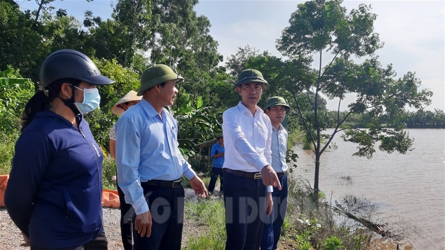 Ninh Giang kiểm tra thực trạng tuyến đê tả sông Luộc
